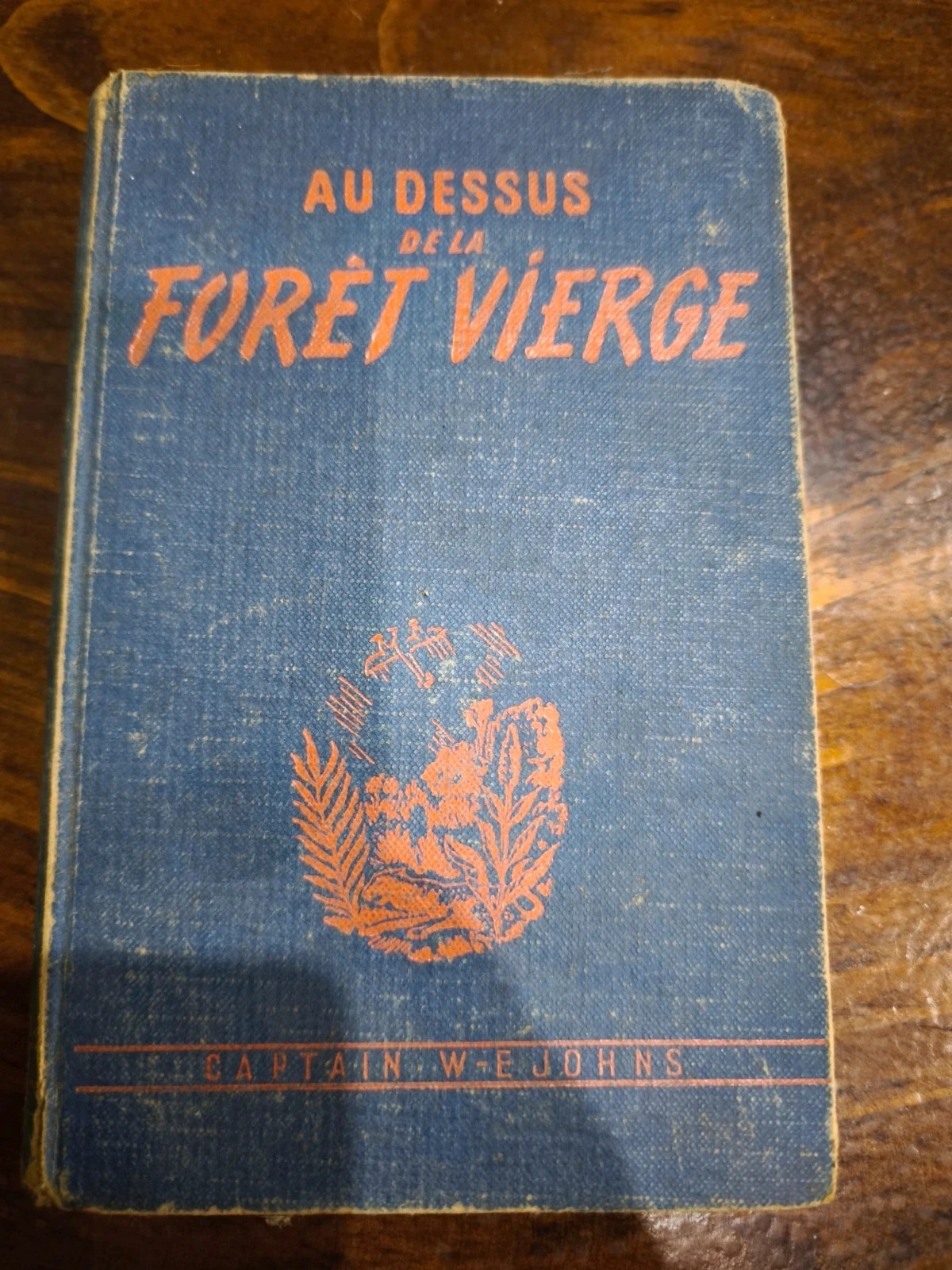 Au-dessus de la forêt vierge
